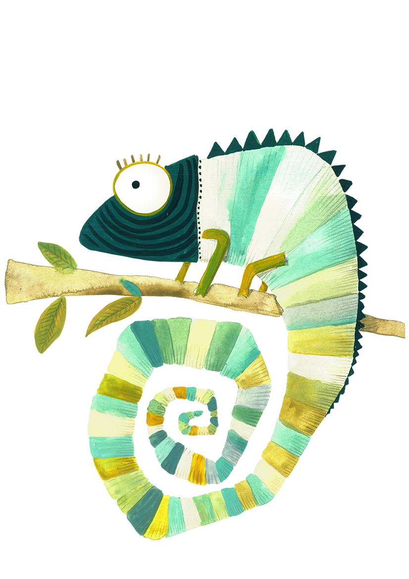 Cocopetit Fotografía